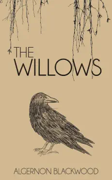 the willows book cover image