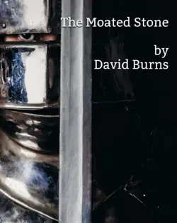 the moated stone book cover image