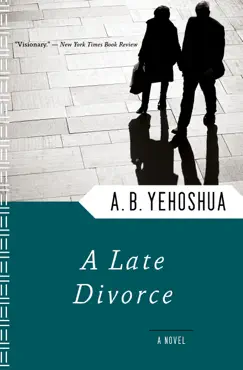 a late divorce book cover image