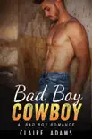 Bad Boy Cowboy book summary, reviews and download