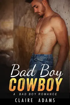 bad boy cowboy book cover image