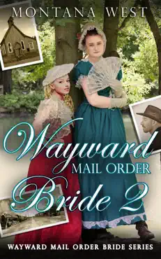 wayward mail order bride 2 book cover image