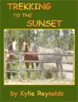 Trekking to the Sunset synopsis, comments
