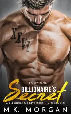 billionaire's secret book cover image