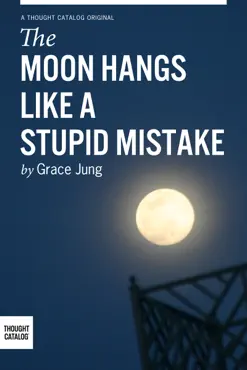 the moon hangs like a stupid mistake book cover image