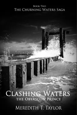 clashing waters book cover image