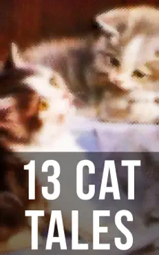 13 cat tales book cover image