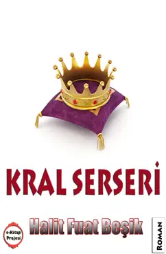 kral serseri book cover image