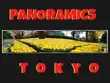 Panoramics in Tokyo synopsis, comments