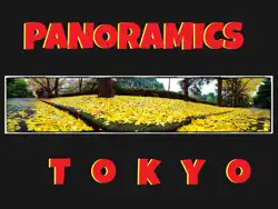 panoramics in tokyo book cover image