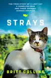 Strays synopsis, comments