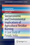 Socioeconomic and Environmental Implications of Agricultural Residue Burning reviews