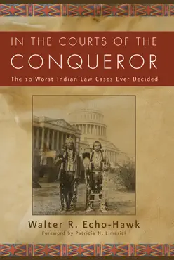 in the courts of the conquerer book cover image