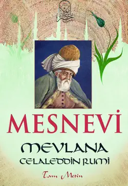 mesnevi book cover image