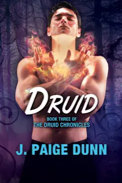 druid: book three of the druid chronicles book cover image