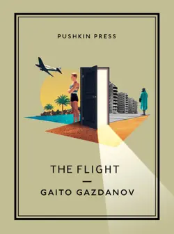 the flight book cover image