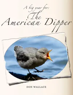 american dipper book cover image