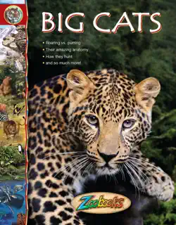 zoobooks big cats book cover image