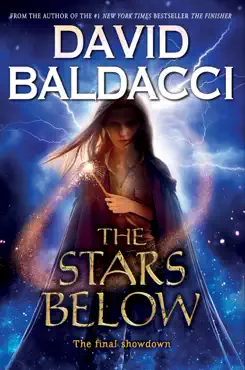 the stars below (vega jane, book 4) book cover image