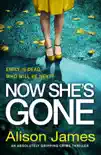 Now She's Gone e-book