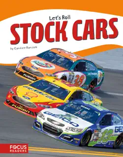 stock cars book cover image