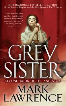 grey sister book cover image