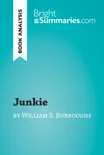 Junkie by William S. Burroughs (Book Analysis) sinopsis y comentarios