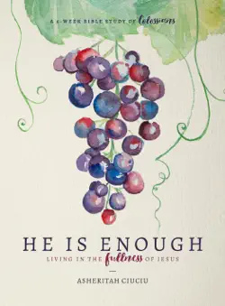 he is enough book cover image