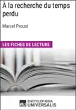 À la recherche du temps perdu de Marcel Proust sinopsis y comentarios
