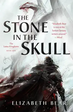 the stone in the skull book cover image