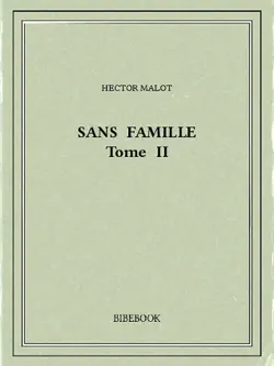 sans famille ii book cover image