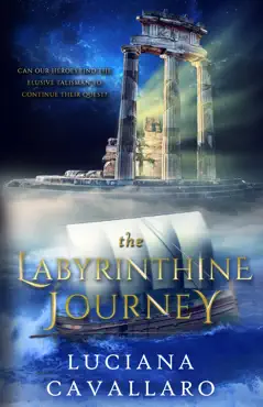 the labyrinthine journey book cover image