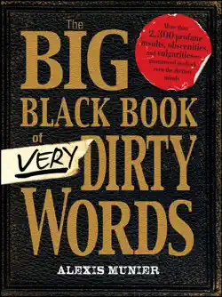 the big black book of very dirty words book cover image
