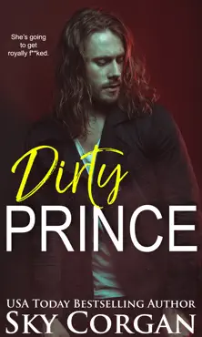 dirty prince book cover image