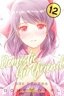 domestic girlfriend volume 12 book cover image