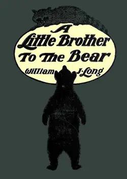 a little brother to the bear book cover image