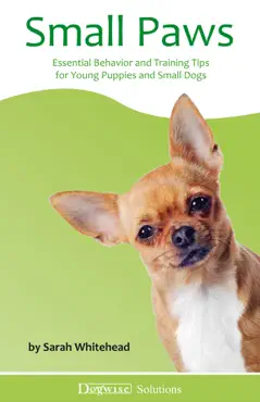small paws book cover image