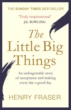 the little big things imagen de la portada del libro