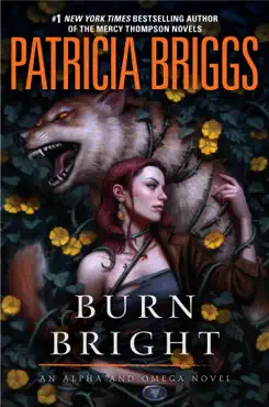 burn bright book cover image