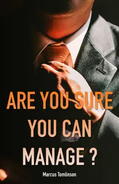 are you sure you can manage?: software engineering management from the software engineers' perspective book cover image