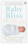 Baby Bliss sinopsis y comentarios