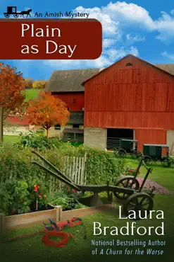 plain as day book cover image