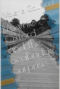 brownie oxford and the seabridge surprise book cover image