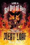 Like a Bat Out of Hell synopsis, comments