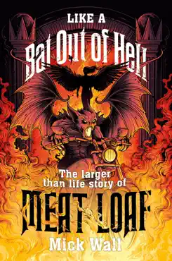 like a bat out of hell book cover image