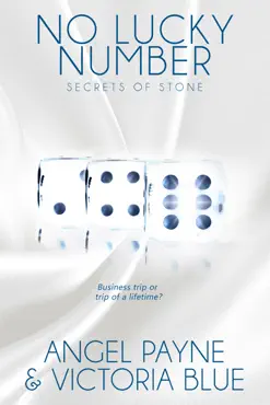 no lucky number book cover image