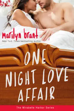 one night love affair book cover image