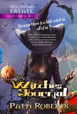 the witches' journal book cover image