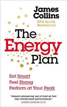the energy plan imagen de la portada del libro