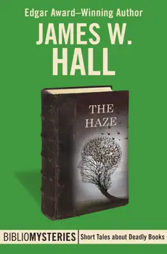 the haze book cover image